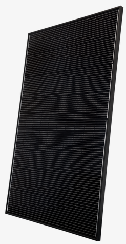 Heckert Solar Nemo 4.2 395 Watt Schwarz / Black (Einzelabnahme möglich)